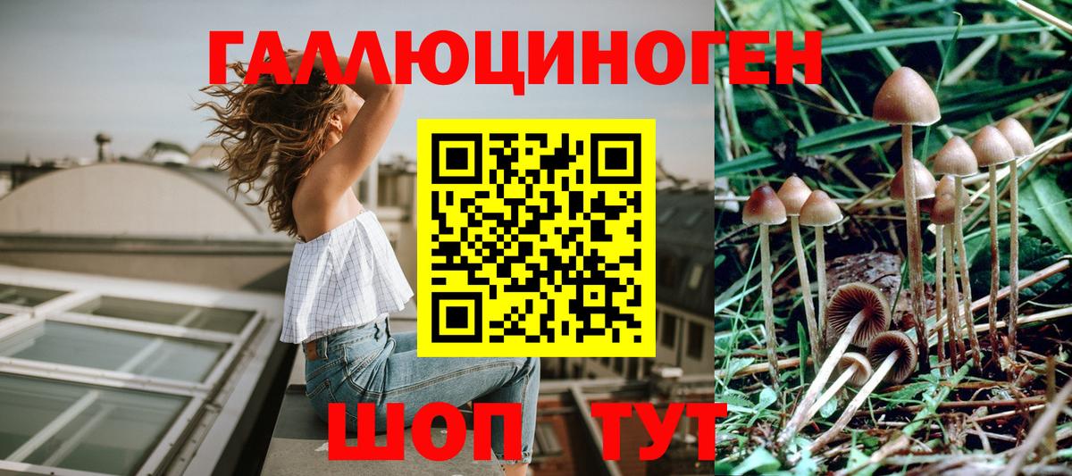 Чистополь  Псилоцибиновые грибы GOLDEN TEACHER  Вход с VPN 